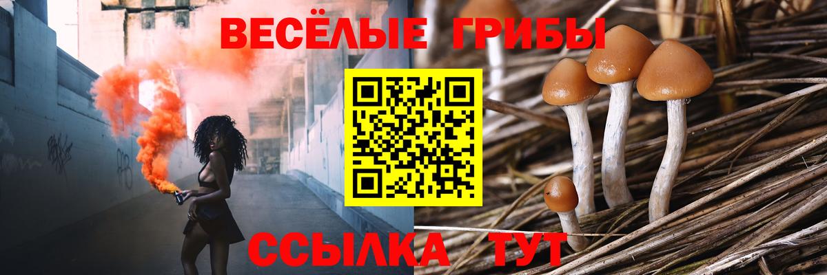 Псилоцибиновые грибы мухоморы  Псилоцибиновые грибы GOLDEN TEACHER  Реутов  Вход с VPN 